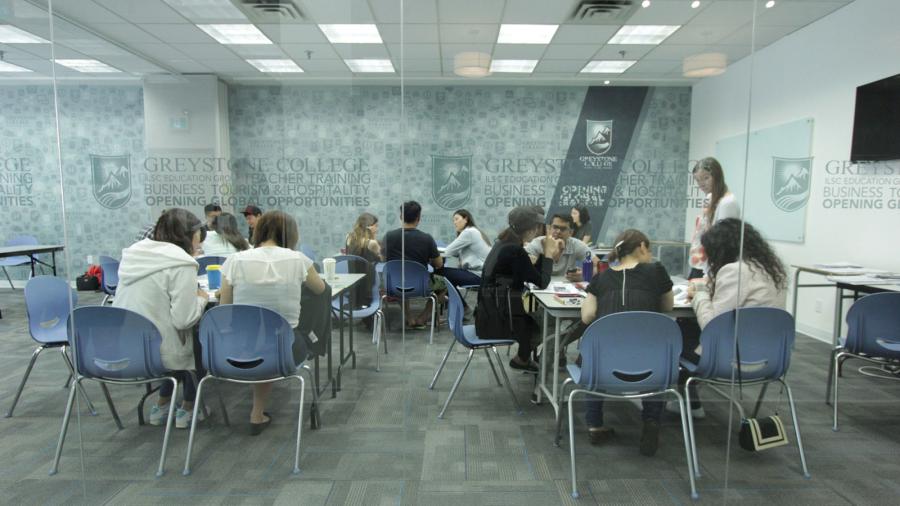 Greystone College School Gallery 1016 4