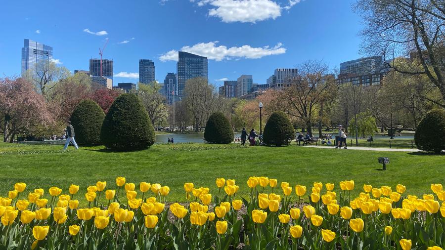 ESL Languages English Positively-Languages Boston neighbourhood
